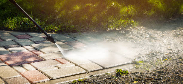 Best Sidewalk and Walkway Cleaning  in Cohoe, AK